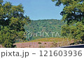 Beautiful hill and tee garden with jaflong 121603936