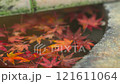 Autumn leaves swaying in the water 121611064