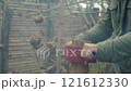 A woodworker splits bamboo wood using a special tool 121612330