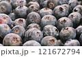 Heap of fresh blueberries in close detail. Slider shot. Natural deep blue color and plump texture. Nature, fruit, diet, organic food, wellness themes. 4k 121672794