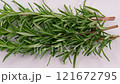 Close up view of green rosemary herb branches with leaves on white background. Slider shot. Shallow depth of field, selective focus. Ingredients, food seasoning, cooking, spices, flavor concepts. 4k 121672795