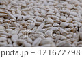 Stack of peeled sunflower seeds. Slider shot. Depth of field, selective focus. Food, nutrition, healthy eating, organic, snacks, ingredient concepts. 4k 121672798