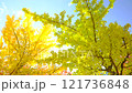 秋 イメージ 公園 紅葉-B 121736848
