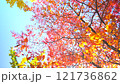 秋 イメージ 公園 紅葉-D 121736862