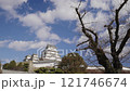 姬路城堡 121746674