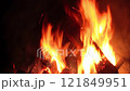 Night Bonfire Burns in the Forest 121849951