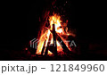 Night Bonfire Burns in the Forest - Slow Motion 121849960