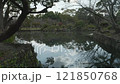 River with Clouds Water Reflection Running Through Japanese Garden, Wide shot 121850768