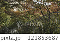 Stairs down from Acros Fukuoka Step Garden, green roof in central Fukuoka, POV 121853687