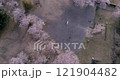 『桜』原城跡　空撮 121904482