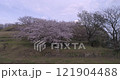 『桜』原城跡　空撮 121904488