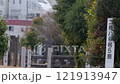 A walking cat 121913947