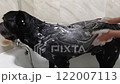 The owner bathes and washes a large black Cane Corso dog in a snow-white bathtub. The animal is undergoing spa treatments 122007113