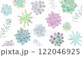 Succulent background pattern watercolor illustration loop video 122046925