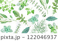 Herb background pattern watercolor illustration loop video 122046937