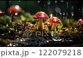 mushrooms with red caps in  122079218