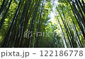 Ecological landscape video 122186778