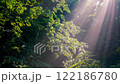 Ecological landscape video 122186780