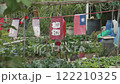 Neko and Taiwan flag hanging over vegetable garden, Rural Taiwanese Culture 122210325