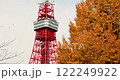 Tokyo Tower rises beside golden autumn foliage under a pale sky 122249922