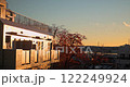 A golden Tokyo sunset contrasts with red autumn foliage, a glowing urban facade 122249924