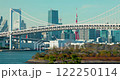 Tokyo skyline blends tradition and modernity with Rainbow Bridge and Tower Japan 122250114
