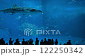 In Okinawa aquarium, a whale shark glides by amazed onlookers. Japan 122250342