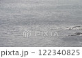 Cape Tappi in winter 122340825