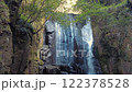 桑の木滝　新宮市 122378528