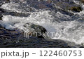 流淌的河流：純淨的自然美景 122460753