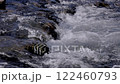 流淌的河流：純淨的自然美景 122460793