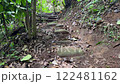 Forest trail with mossy stones and scattered dry leaves 122481162