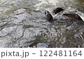 basalt, andesite, natural lighting 122481164