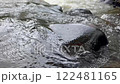 basalt, andesite, natural lighting 122481165