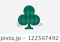 Club transition (green) 122507492