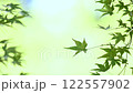 紅葉が揺れる 122557902
