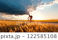 A person riding a bike in the gold barle wheat field with storm cloud. 122585108