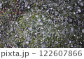 雪花飄落在螢幕上——冬天的季節景象 122607866