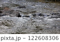 雪河，冬季自然風景 122608306