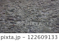 清澈的水面漣漪蕩漾，河床清晰可見，寧靜而美麗的河景 122609133