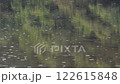 雨が降って波紋ができた池 122615848