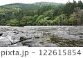 十曽川の流れと新緑の森 122615854
