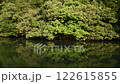 照葉樹がメインの森と池の水鏡 122615855