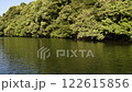 照葉樹がメインの森と池 122615856
