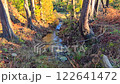 Forest stream. Clear sunny day. 122641472