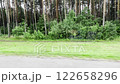 View from a car window of a lush forest with pine and birch trees lining the roadside. Passing greenery, dynamic motion, scenic countryside, and a peaceful journey through nature. 122658296