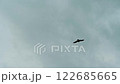 大空を優雅に飛ぶトビの動画素材 122685665