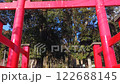 東霧島神社入口處的鳥居（宮崎縣全市） 122688145