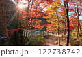 Sunshine peeking through autumn leaves 122738742