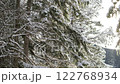Snow-covered trees in winter forest. 122768934